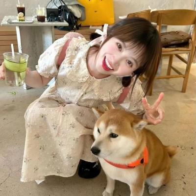 浩哥爱情故事